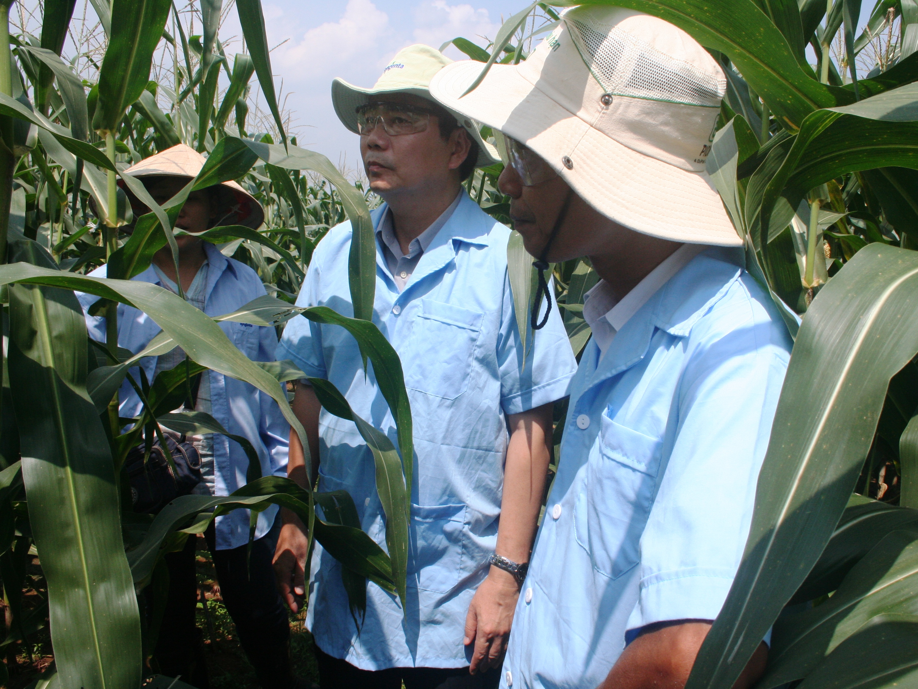 BỘ TRƯỞNG CAO ĐỨC PHÁT THĂM TRẠM KHẢO NGHIỆM VÀ HẬU KIỂM GIỐNG CÂY TRỒNG ĐÔNG NAM BỘ